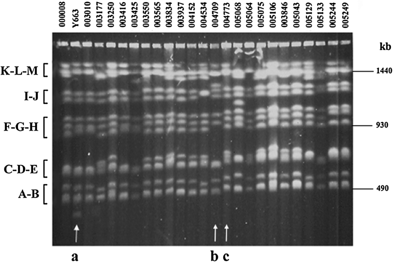 Fig. 3