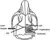 <b>FIG. 1.</b>