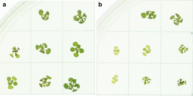 Fig. 7