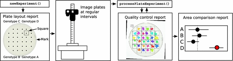 Fig. 1