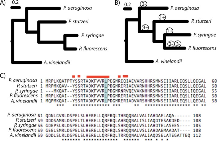 FIG 4 