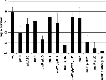 FIG. 3.