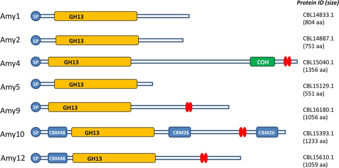 FIG 1 