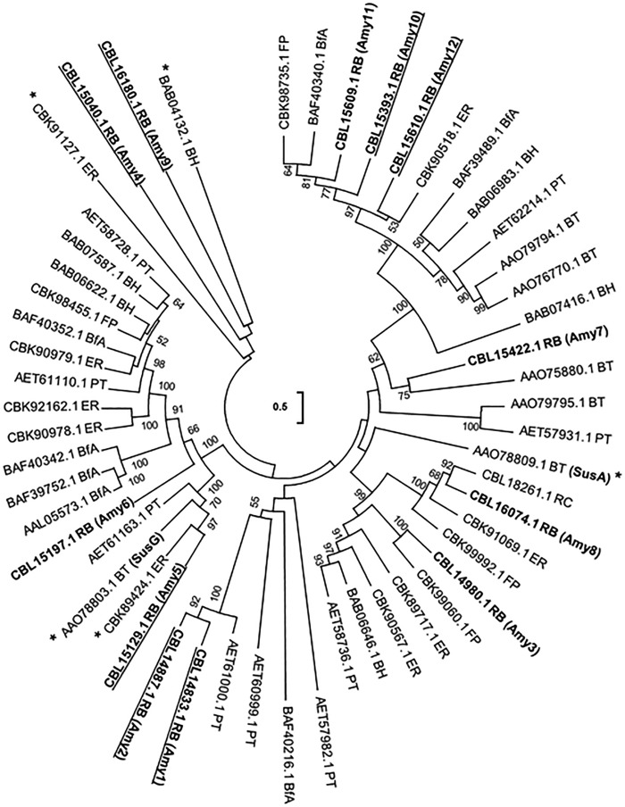 FIG 2 