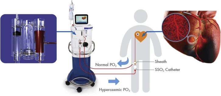 Figure 1