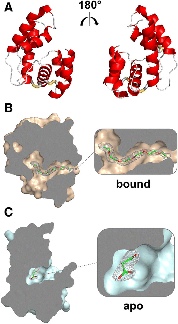 Fig. 1