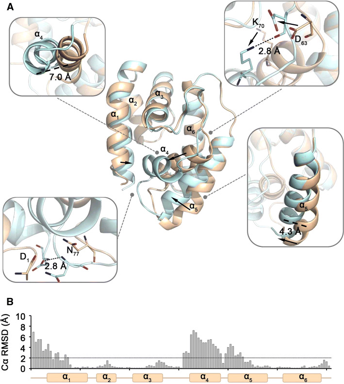 Fig. 2