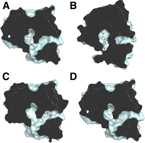 Fig. 4