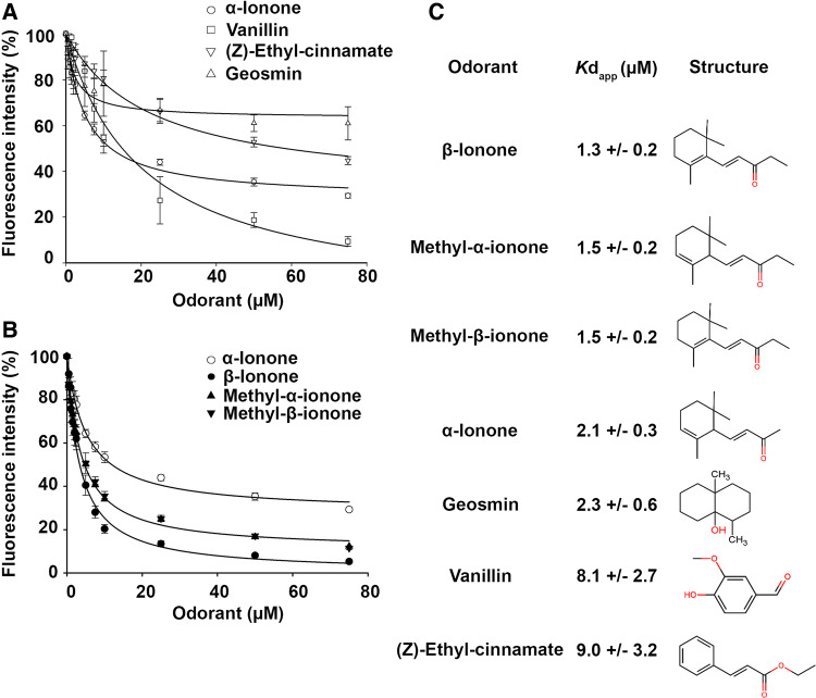 Fig. 3