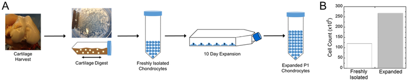 Fig. 1: