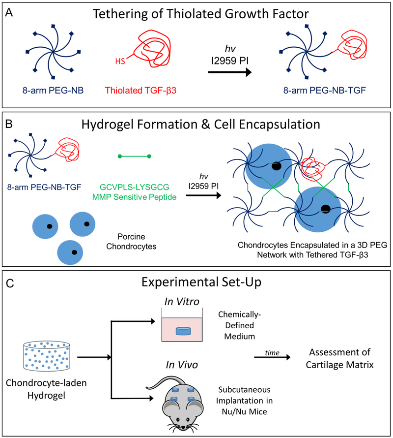 Fig. 2: