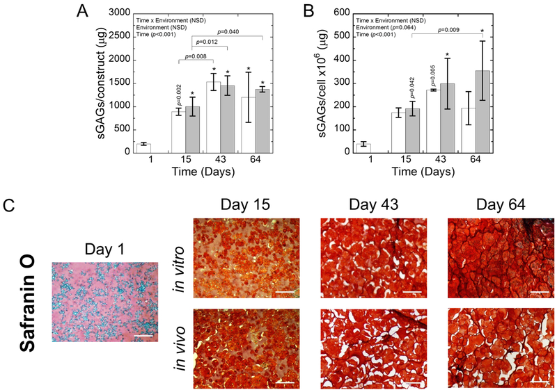 Fig. 6: