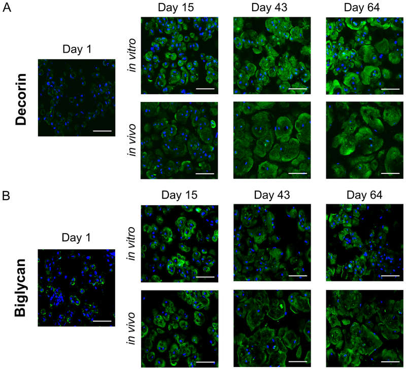 Fig. 7: