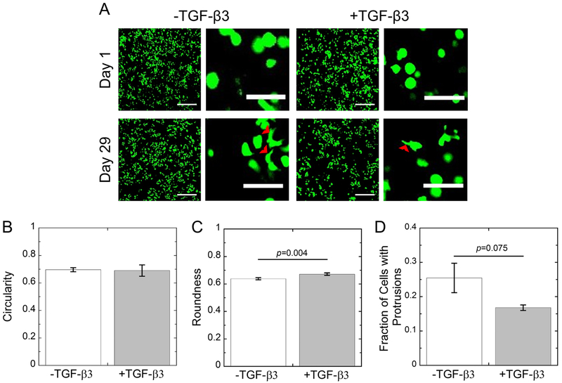 Fig. 4: