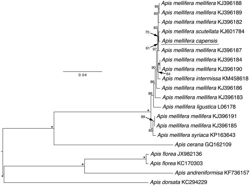 Figure 1.