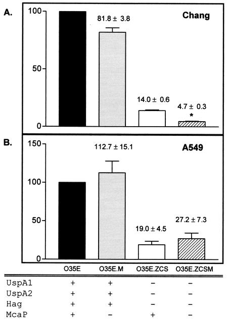 FIG. 5.