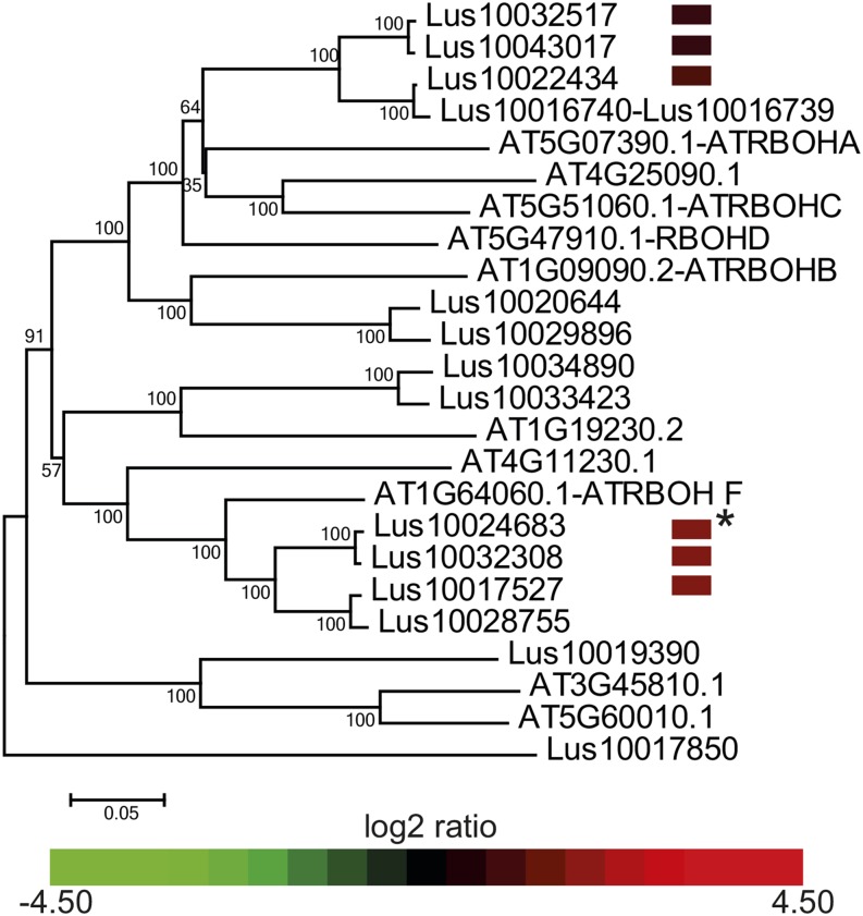 Figure 12.