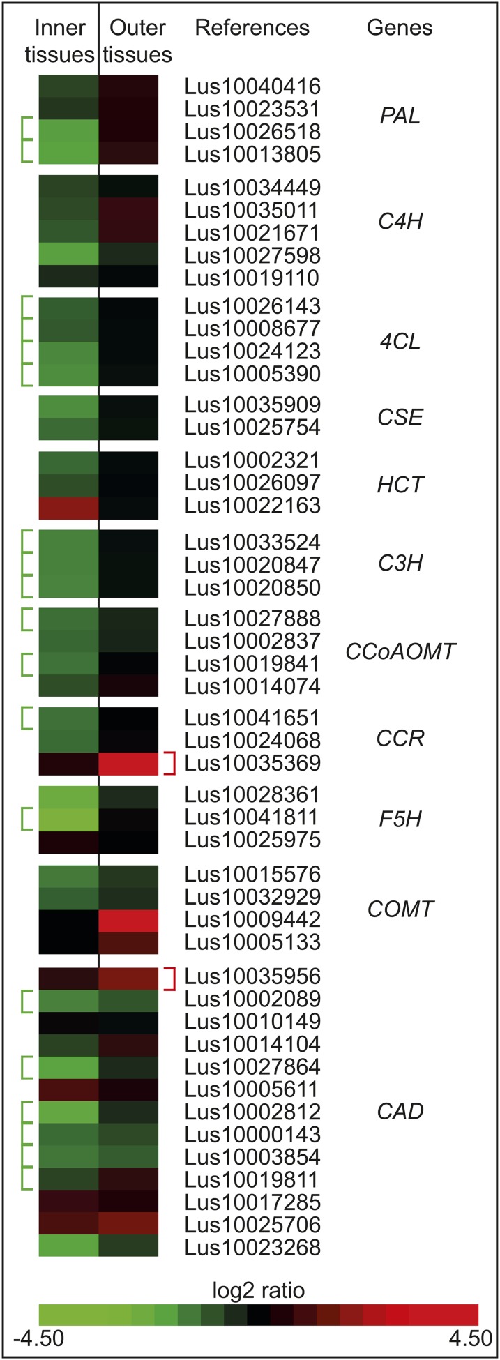 Figure 10.