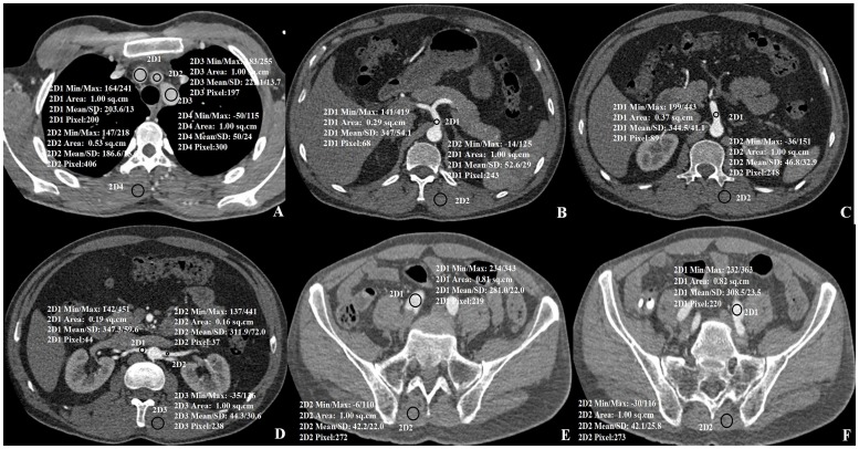 Fig 3