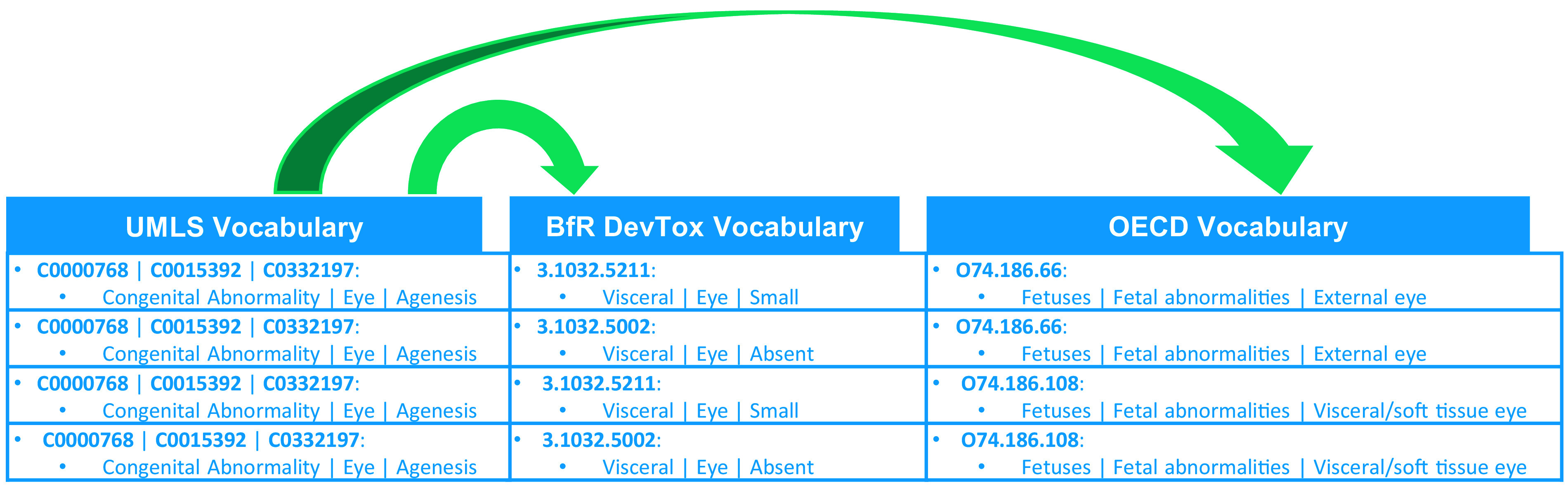 Figure 2 is a tabular representation with three columns, namely, U M L S vocabulary, BfR DevTox vocabulary, and O E C D vocabulary. Row 1: C 00007686, C 0015392, C 0332197: Congenital abnormality, eye, agenesis; 3.1032.5211: Visceral, eye, small; and O 74.186.66: fetuses, fetal abnormalities, external eye. Row 2: C 00007686, C 0015392, C 0332197: Congenital abnormality, eye, agenesis; 3.1032.5002: Visceral, eye, absent; and O 74.186.66: fetuses, fetal abnormalities, external eye. Row 3: C 00007686, C 0015392, C 0332197: Congenital abnormality, eye, agenesis; 3.1032.5211: Visceral, eye, small; and O 74.186.108: fetuses, fetal abnormalities, visceral or soft tissue eye. Row 4: C 00007686, C 0015392, C 0332197: Congenital abnormality, eye, agenesis; 3.1032.5002: Visceral, eye, absent; and O 74.186.66: fetuses, fetal abnormalities, visceral or soft tissue eye. U M L S vocabulary is linked with BfR DevTox vocabulary and O E C D vocabulary.