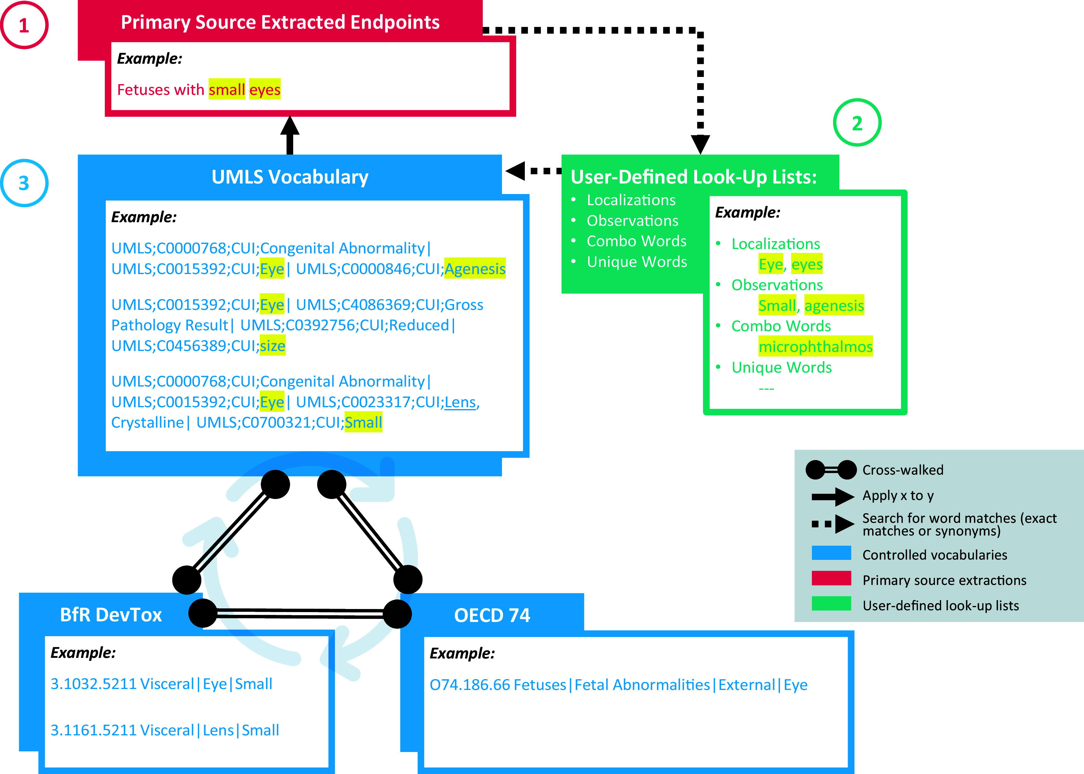 Figure 4 is a flowchart with three steps. Step 1: Primary Source Extracted Endpoints: Example: Fetuses with small eyes. Step 2: User-Defined Look-Up Lists that includes Localizations, Observations, Combo Words, Unique Words. Example: Localizations: Eye, eyes; Observations: Small, agenesis: Combo Words: microphthalmos: and Unique words. Step 3: U M L S vocabulary: Example: U M L S; C 0000768; C U I; Congenital Abnormality, U M L S; C 0015392; C U I; Eye, U M L S; C 0000846; C U I; Agenesis. U M L S; C 0015392; C U I; Eye, U M L S; C 4086369; C U I; Gross Pathology Result, U M L S; C 0392756; C U I; Reduced, U M L S; C 0456389; C U I; size. U M L S; C 0000768; C U I; Congenital Abnormality, U M L S; C 0015392; C U I; Eye, U M L S; C 0023317; C U I; Lens, Crystalline, U M L S; C 0700321; C U I; Small. BfR DevTox: Example: 3.1032.5211 Visceral, eye, small and 3.1161.5211 visceral, lens, small. O E C D 74: Example: O 74.186.66 fetuses, fetal abnormalities, external, eye. U M L S vocabulary, BfR DevTox, and O E C D 74 are interconnected with each other. The legend is divided into six parts, namely, cross-walked, apply x to y, search for word matches (exact matches or synonyms), controlled vocabularies, primary source extractions, and user-defined look-up lists.