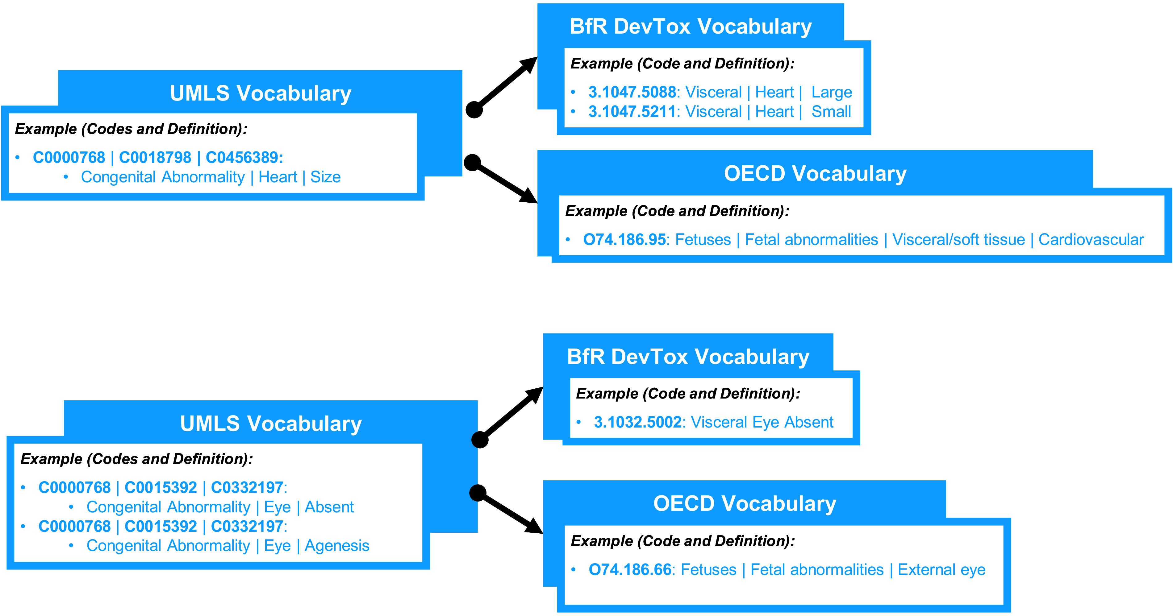 Figure 1 is a flowchart with two mapping examples. Example 1: U M L S Vocabulary: Example (codes and definition): C 0000768, C 0018798, and C 0456389: Congenital abnormality, heart, and size leads to BfR DevTox Vocabulary: Example (codes and definition): 3.1047.5088: Visceral, heart, and large and 3.1047.5211: Visceral, heart, and small and O E C D vocabulary: Example (codes and definition): O 74.186.95: Fetuses, fetal abnormalities, visceral or soft tissue, and cardiovascular. Example 2: U M L S Vocabulary: Example (codes and definition): C 0000768, C 0015392, and C 0332197: Congenital abnormality, eye, absent; C 0000768, C 0015392, and C 0332197: Congenital abnormality, eye, agenesis leads to BfR DevTox Vocabulary: Example (codes and definition): 3.1032.5002: Visceral eye absent and O E C D vocabulary: Example (codes and definition): O 74.186.66: Fetuses, fetal abnormalities, external eye.