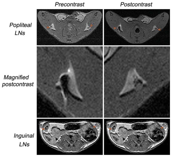 FIG. 6