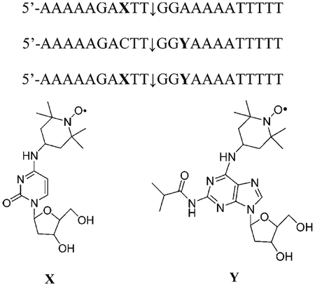 graphic file with name nihms-1606389-f0001.jpg