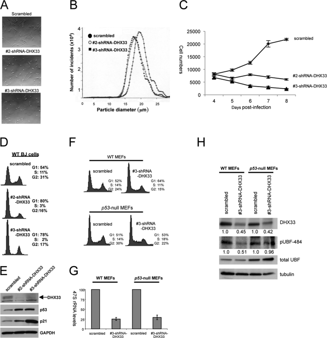 Fig. 11.