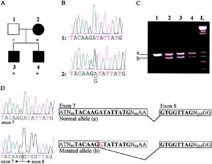 Figure  1