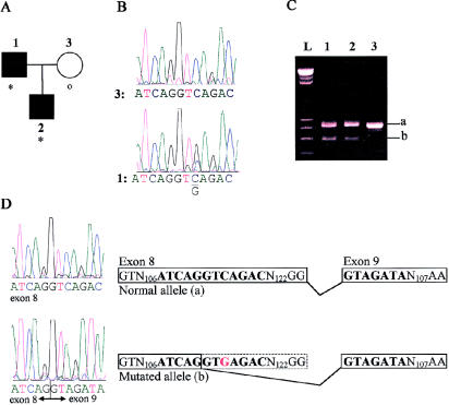 Figure  2