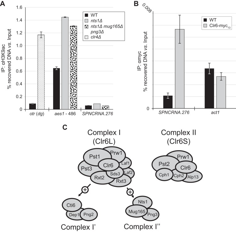 FIG 6