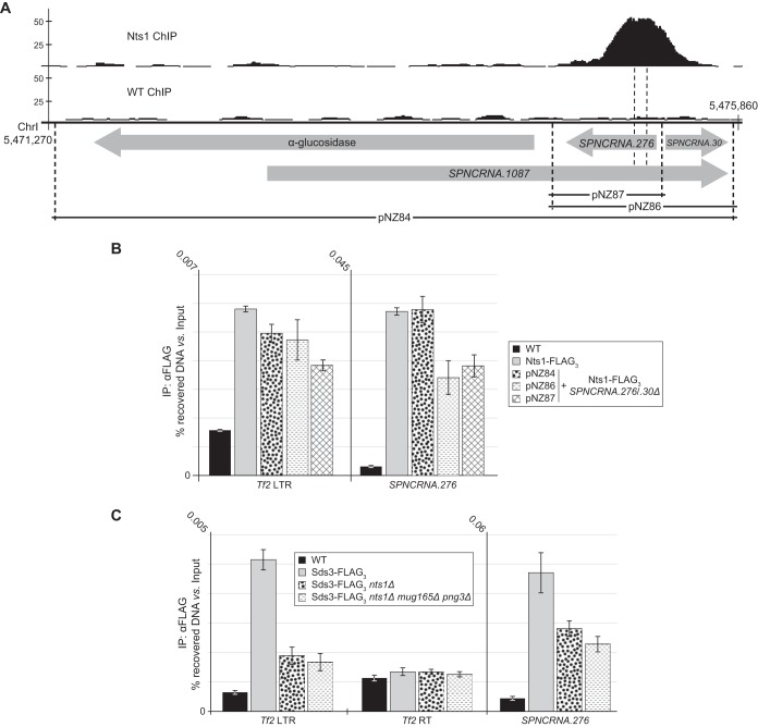 FIG 5