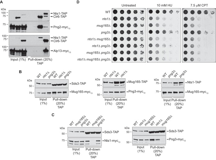 FIG 3