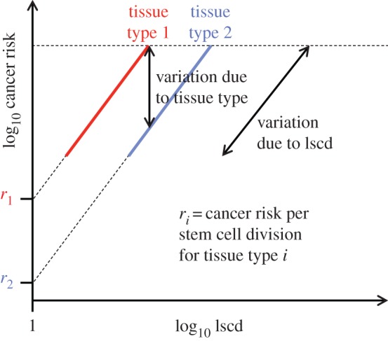 Figure 6.