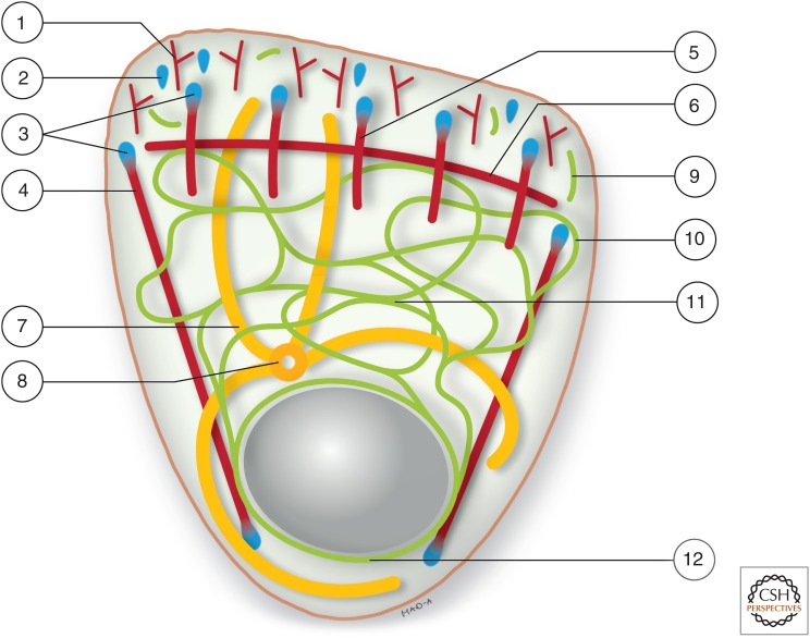 Figure 5.