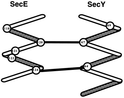 FIG. 5