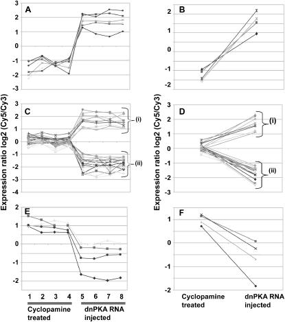 Figure 2.—