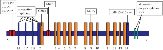 Figure 2.