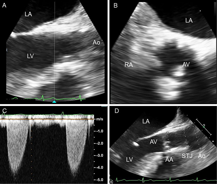 Figure 3.