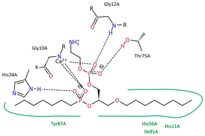 Figure 9