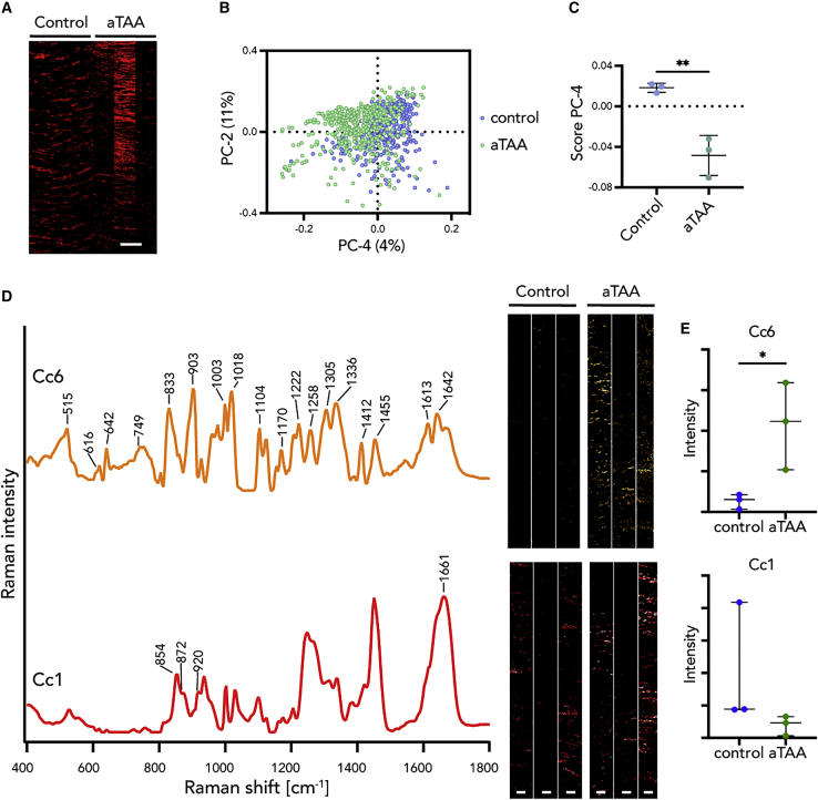 Figure 6