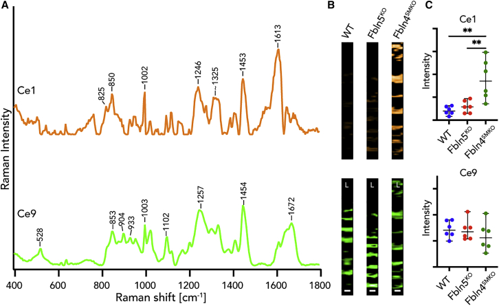 Figure 3