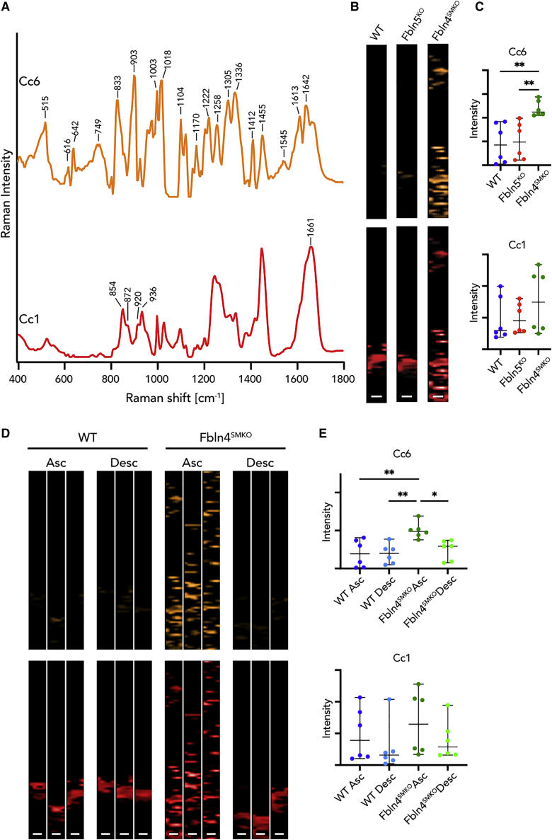 Figure 4