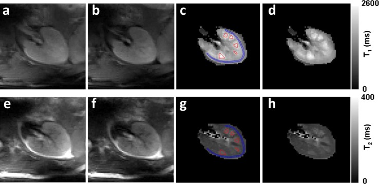 Fig. 7