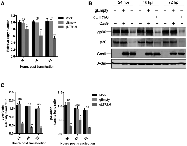 Figure 2