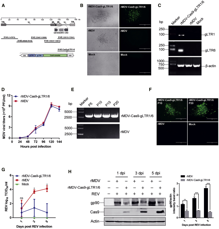 Figure 4