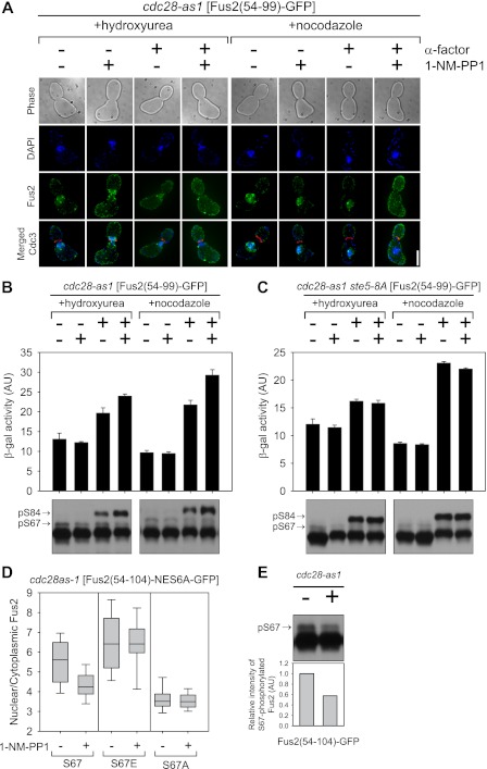 Figure 6.