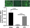 Figure 5: