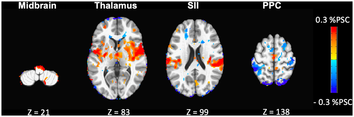 Figure 6: